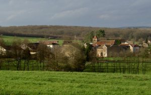 dampvalley